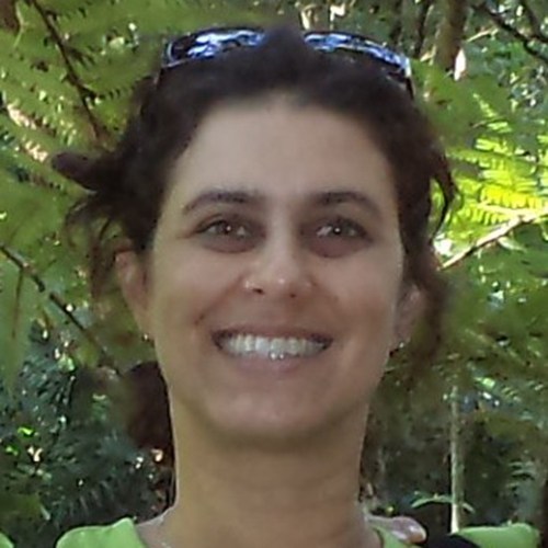 Luciana Gomes de Araujo